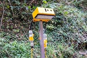 Speedy - Prolink Safety Shift