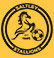 Saltley Stallions FC