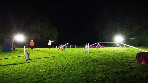 Sport-LITE Hunde-Agility