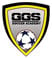 Golden Goals Sports